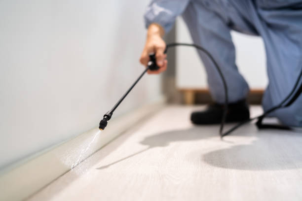 Certified termite inspector examining foundation in Bunker Hill