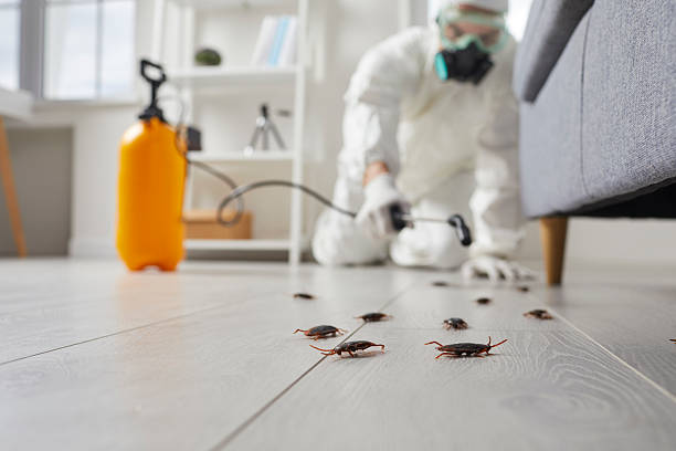 Commercial Rodent Management in Bunker Hill